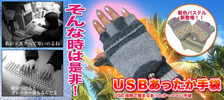 USBあったか手袋 両手【USGLOV20】